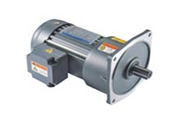 單相交流齒輪馬達的性能特點?